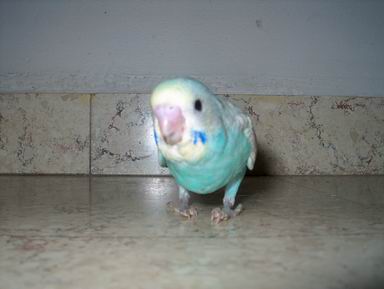 Resize of 11-05-04-2-0011.jpg