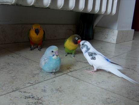 Resize of 11-05-04-00011.jpg