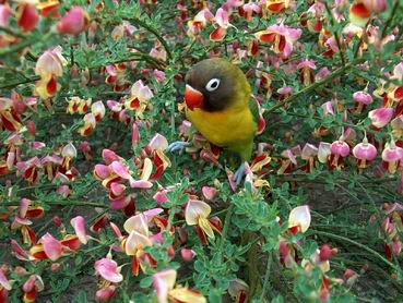 Resize of 20-05-04-3-0032.jpg