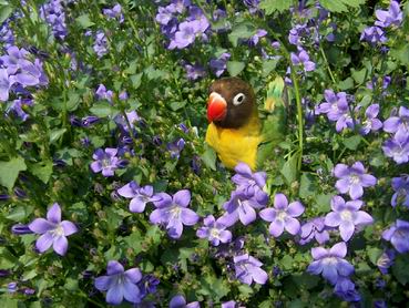 Resize of 20-05-04-3-0002.jpg