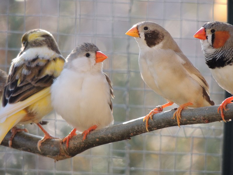 DSCN4184 (Copier).jpg