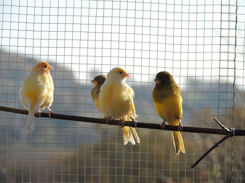 DSCN4158 (Copier).jpg