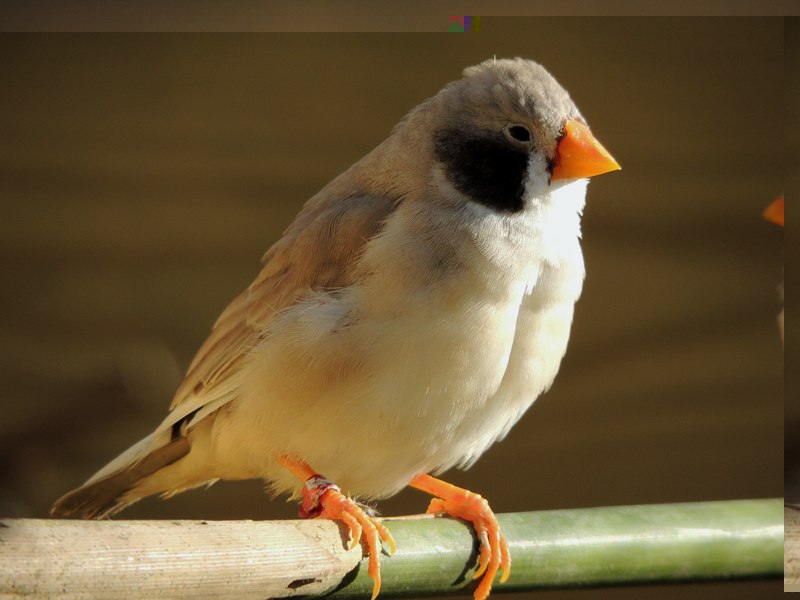 DSCN4190 (Copier).jpg