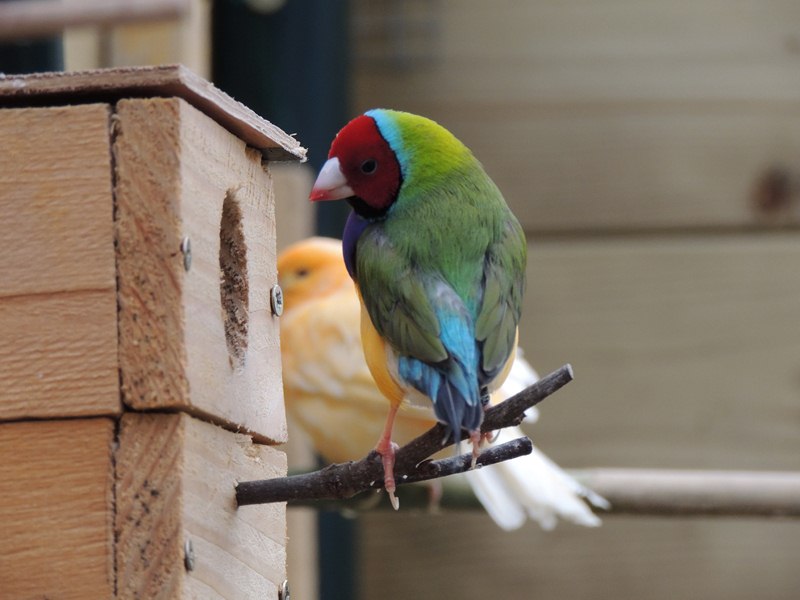 DSCN4369 (Copier).jpg