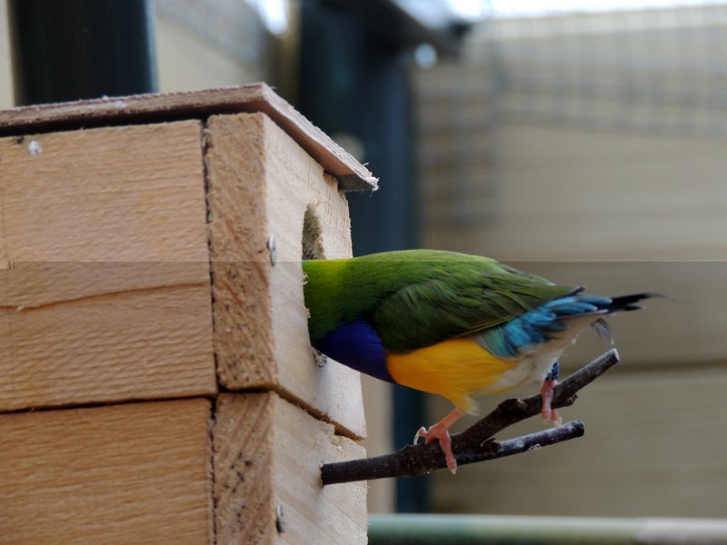 DSCN4379 (Copier).jpg