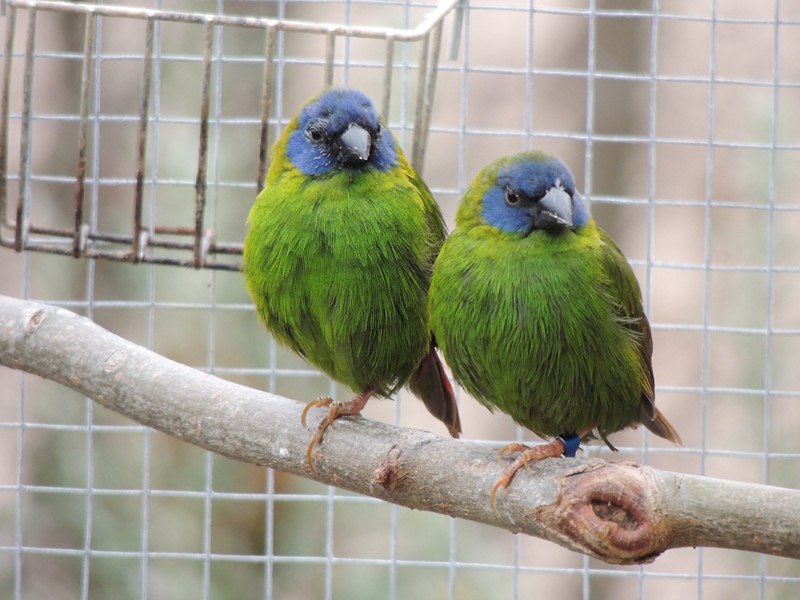 DSCN4413 (Copier).jpg