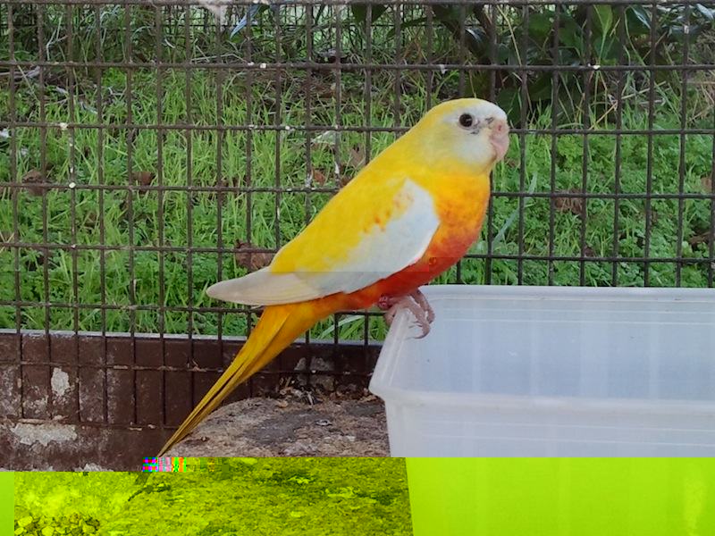 2012-12-15 15.19.44.jpg