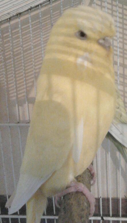 2013-05-13 17.27.27-1.jpg