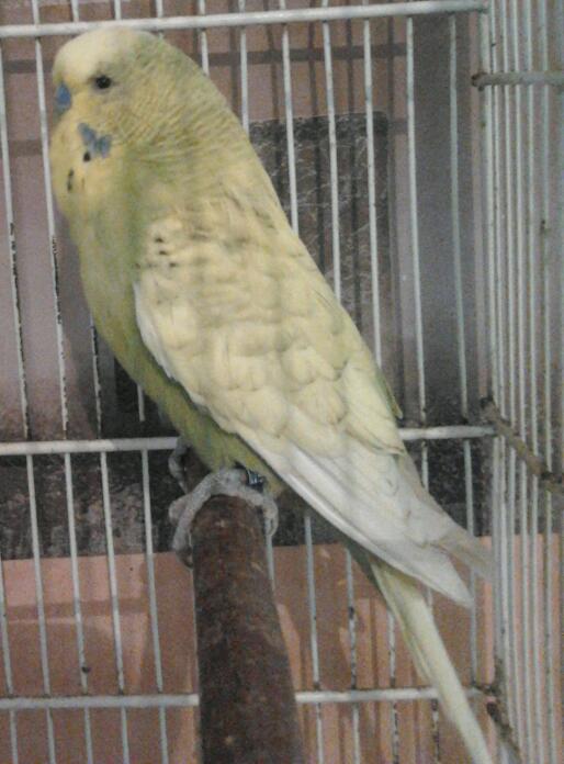 2013-05-13 17.30.58-1.jpg