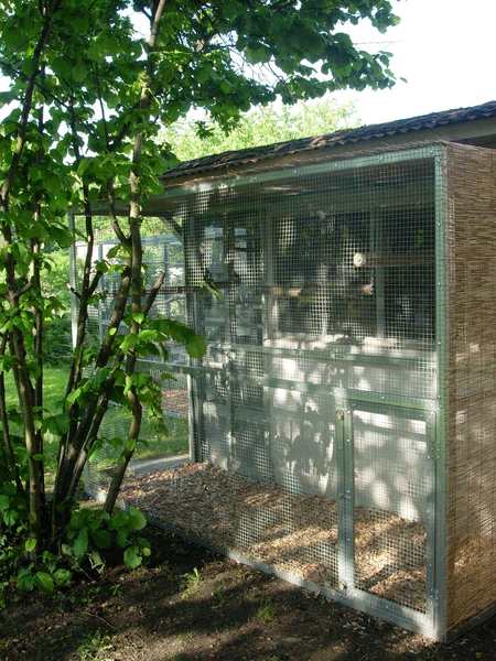 contruction voliÃ¨re ext 002.jpg