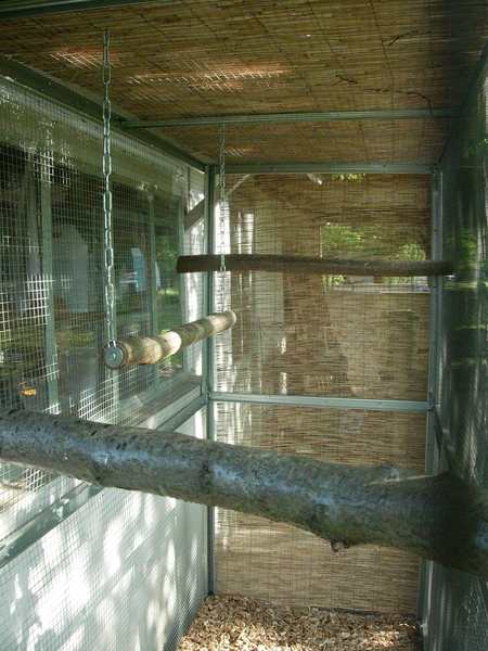 contruction voliÃ¨re ext 005.jpg