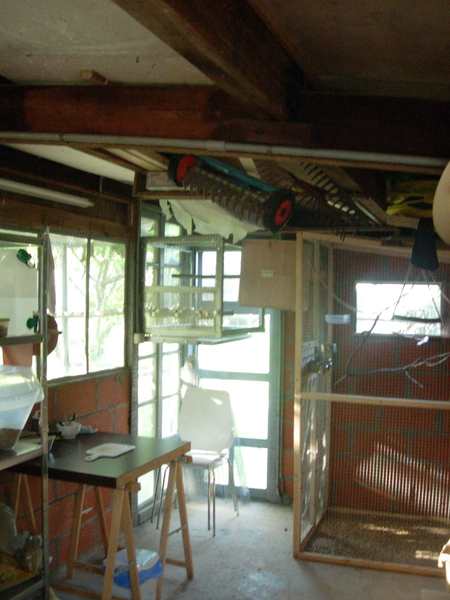 contruction voliÃ¨re ext 006.jpg