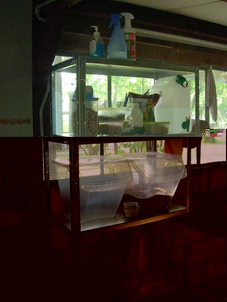 contruction voliÃ¨re ext 007.jpg