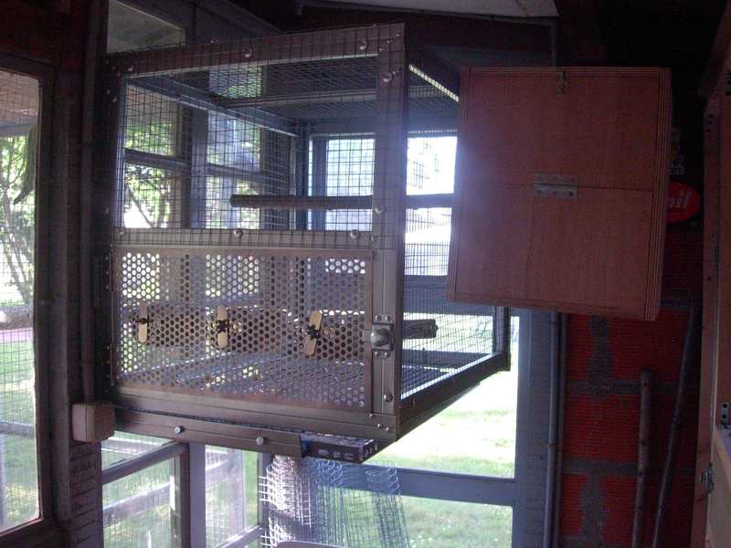 contruction voliÃ¨re ext 009.jpg