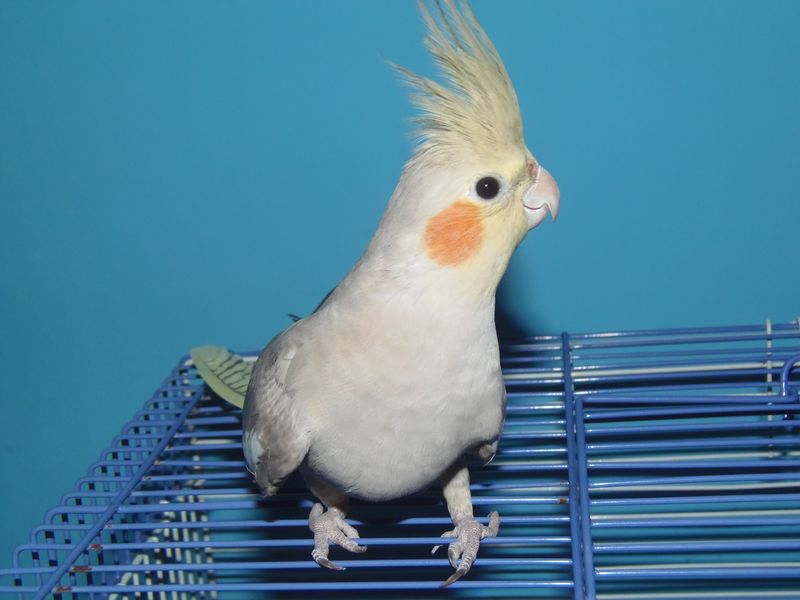 A mettre sur le forum (19).JPG