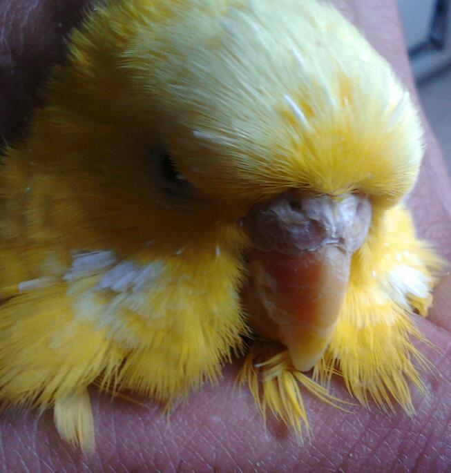 2013-06-12 18.00.00-1.jpg