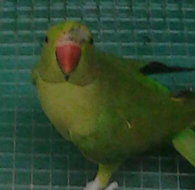 2013-06-19 16.02.05-1.jpg