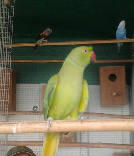 2013-06-19 16.11.49-1.jpg