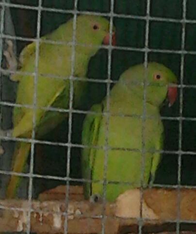 2013-06-19 16.07.18-1.jpg