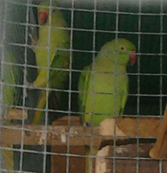 2013-06-19 16.07.13-1.jpg