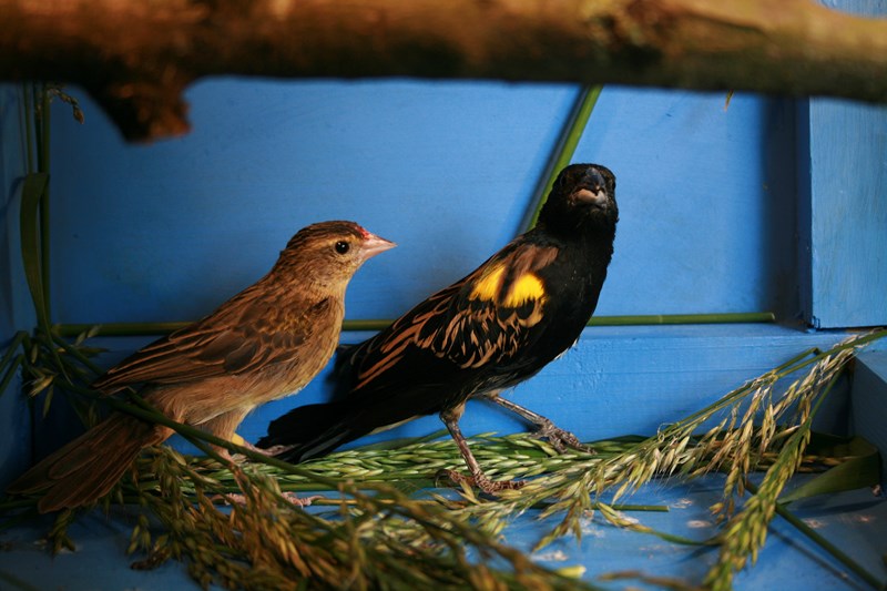 IMG_8831 (Copier).JPG