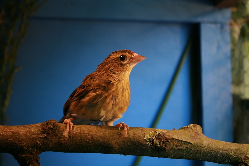 IMG_8742 (Copier).JPG