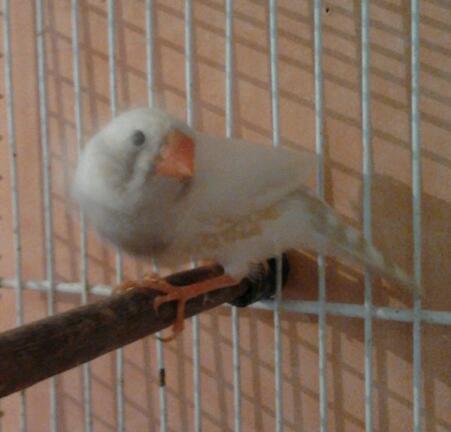 2013-07-30 14.35.44-1.jpg