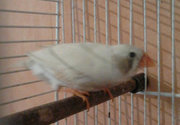 2013-07-30 14.36.07-1.jpg