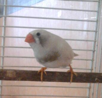 2013-07-31 11.03.32-1.jpg