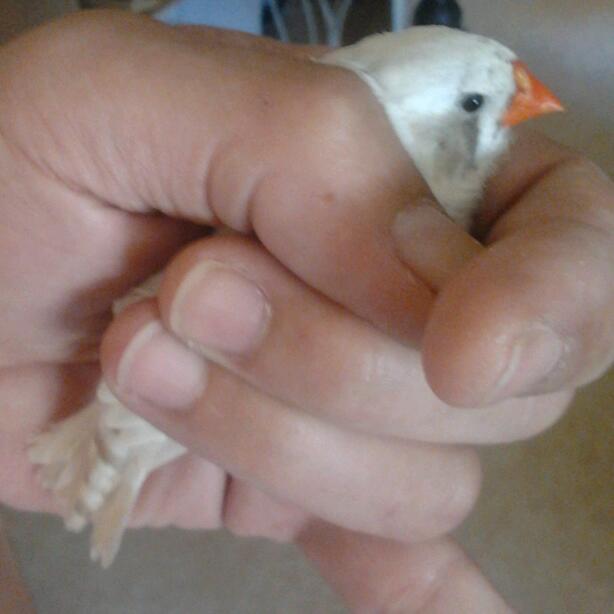 2013-07-31 11.06.25-1.jpg