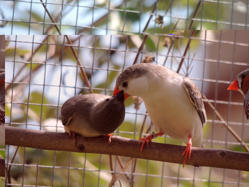 DSCN9535 (Copier).jpg