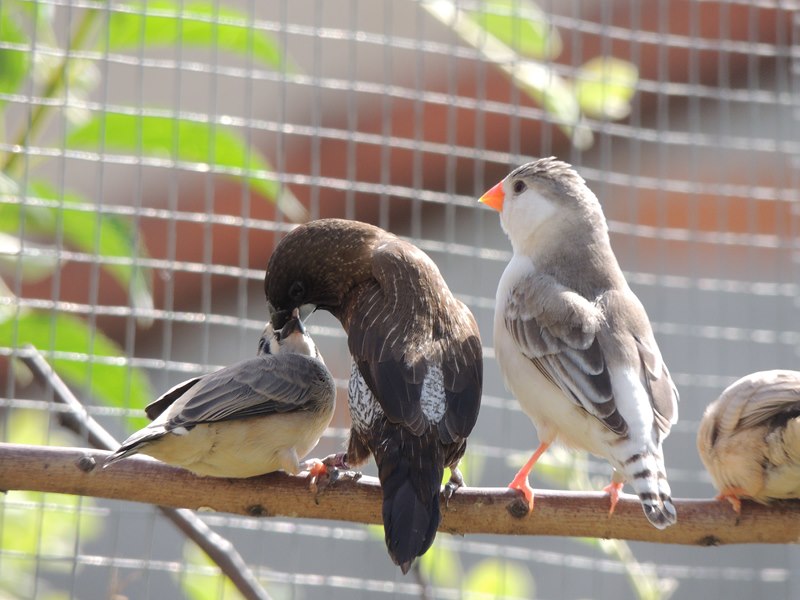 DSCN9476 (Copier).jpg