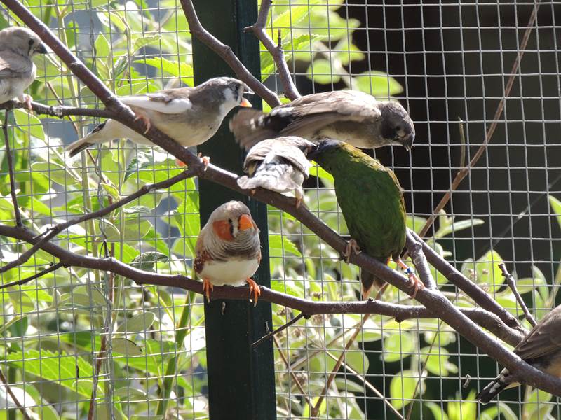 DSCN9457 (Copier).jpg