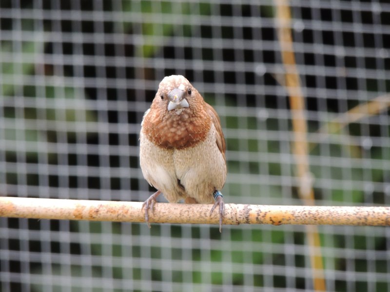 DSCN9907 (Copier).jpg