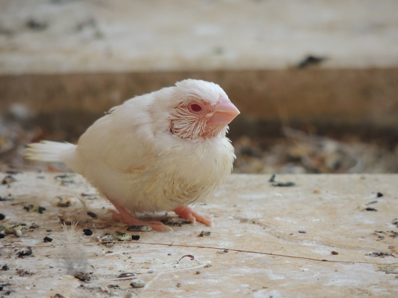 DSCN0025 (Copier).jpg