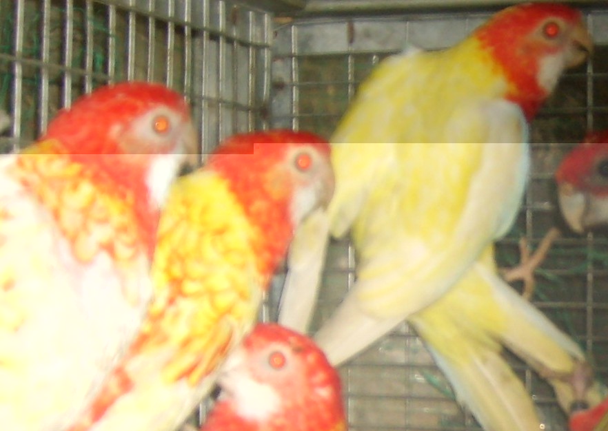 Sans titre-True Color-03.jpg