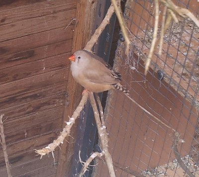 20140315_092507-1 [1600x1200].jpg