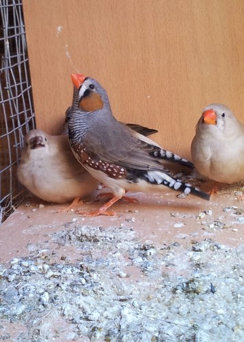 20140325_091014-1 [1600x1200].jpg