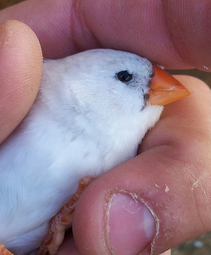 20140325_093439-1 [007023].jpg