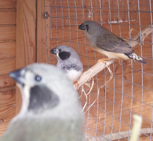 20140329_160424-1 [023523].jpg