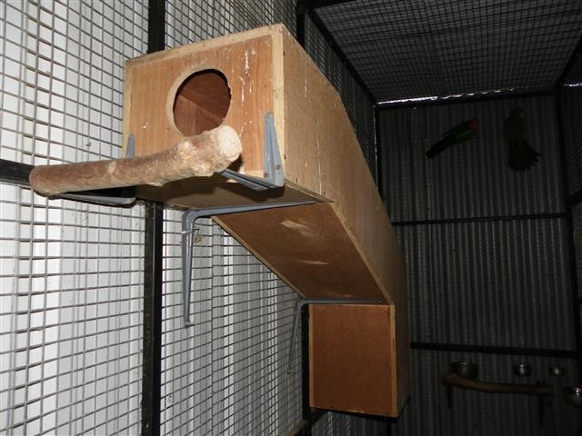 IMGP5246 (Small).JPG