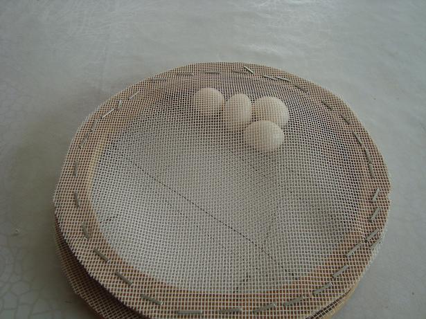 TOURNE OEUFS CAILLES(small).JPG