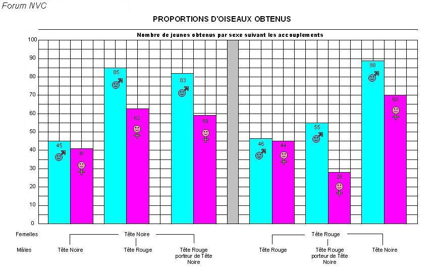 Tableau tÃªtes 1.JPG