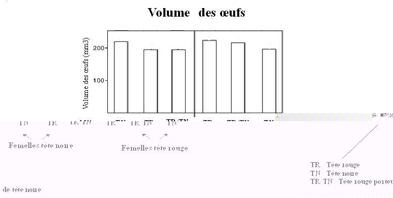 Tableau tÃªtes 3.JPG