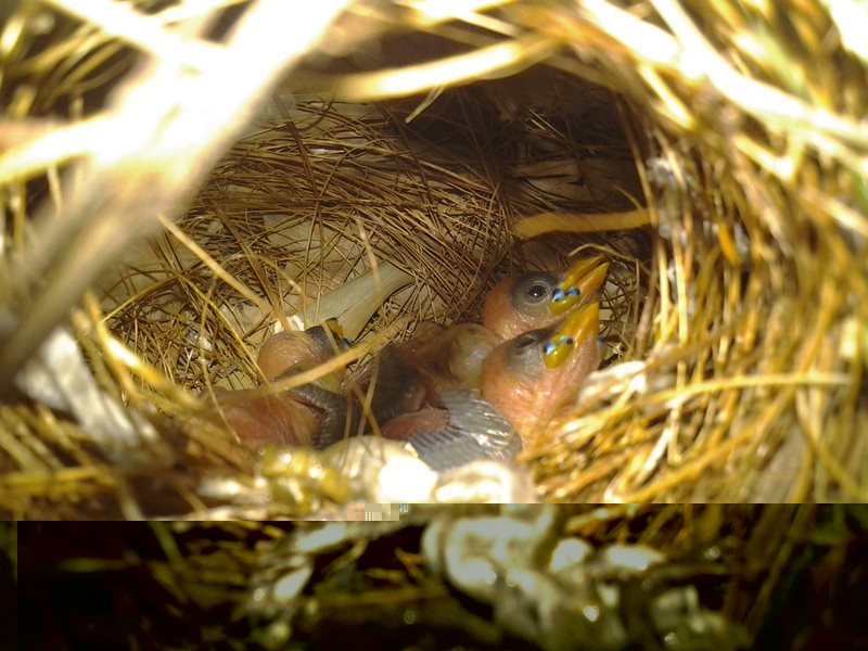 2013-03-30 12.00.18 %28Copier%29.jpg