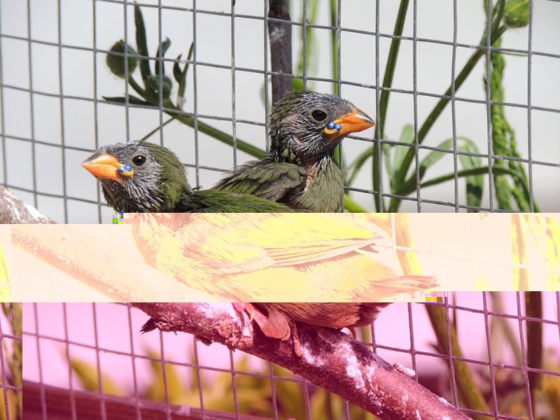 DSCN9994 %28Copier%29.jpg