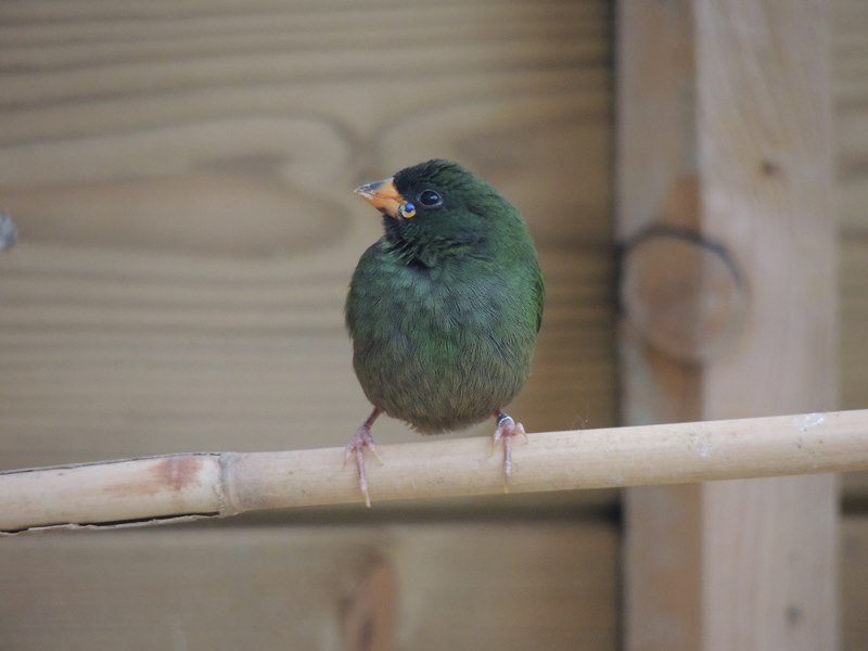 DSCN1742 %28Copier%29.jpg