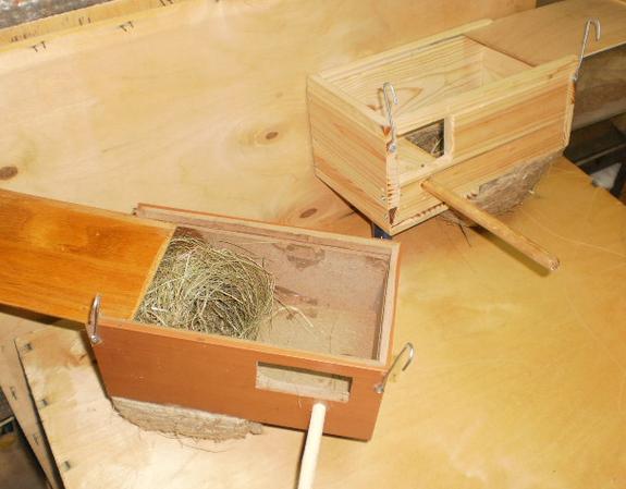 Photo RÃ©fÃ©rence Nid 8.JPG