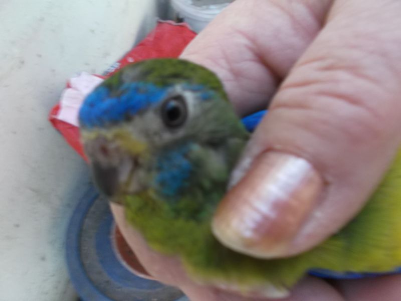 2016-10-30 01.10.43FFFFFFFFFFFF.jpg