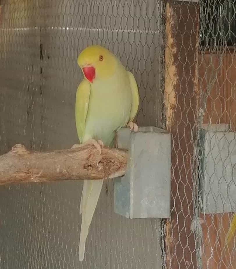 IMG_20220819_194438-min (3).jpg